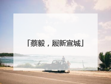 蔡毅，履新宣城