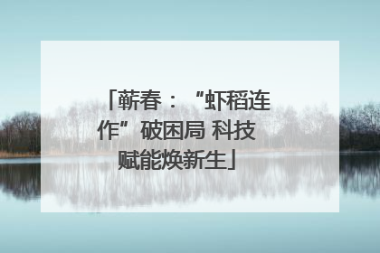 蕲春：“虾稻连作”破困局 科技赋能焕新生