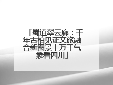 蜀道翠云廊：千年古柏见证文旅融合新图景丨万千气象看四川