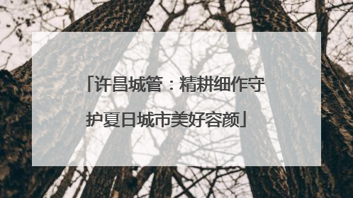 许昌城管：精耕细作守护夏日城市美好容颜
