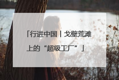 行进中国丨戈壁荒滩上的“超级工厂”