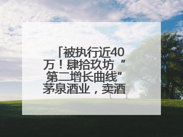 被执行近40万！肆拾玖坊“第二增长曲线”茅泉酒业，卖酒还是卖模式？
