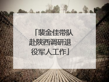 裴金佳带队赴陕西调研退役军人工作
