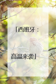 西班牙：高温来袭