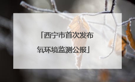 西宁市首次发布氧环境监测公报