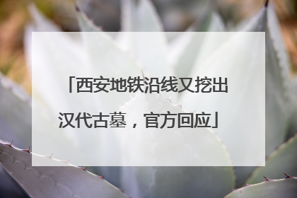 西安地铁沿线又挖出汉代古墓，官方回应
