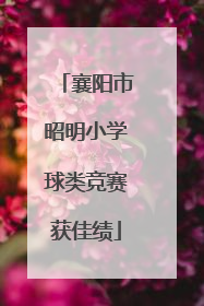 襄阳市昭明小学球类竞赛获佳绩