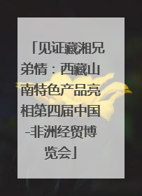 见证藏湘兄弟情：西藏山南特色产品亮相第四届中国-非洲经贸博览会