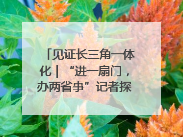 见证长三角一体化｜“进一扇门，办两省事”记者探访苏皖“两省一街”警务室