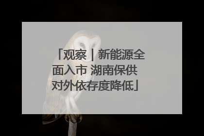 观察｜新能源全面入市 湖南保供对外依存度降低
