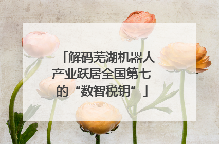 解码芜湖机器人产业跃居全国第七的“数智税钥”