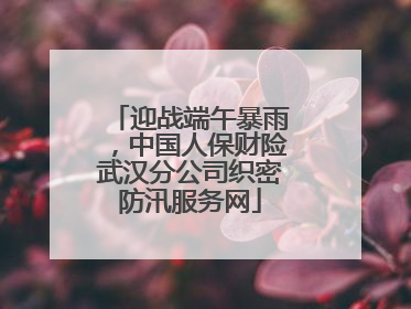 迎战端午暴雨，中国人保财险武汉分公司织密防汛服务网