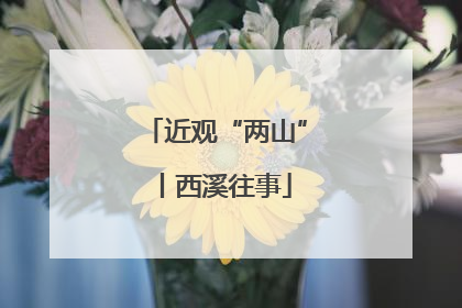 近观“两山”丨西溪往事
