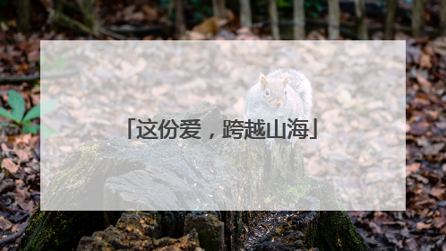 这份爱，跨越山海