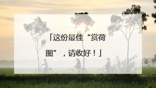 这份最佳“赏荷图”，请收好！