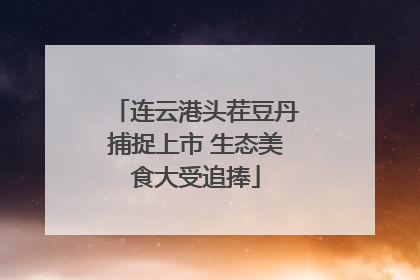 连云港头茬豆丹捕捉上市 生态美食大受追捧