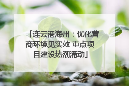连云港海州：优化营商环境见实效 重点项目建设热潮涌动