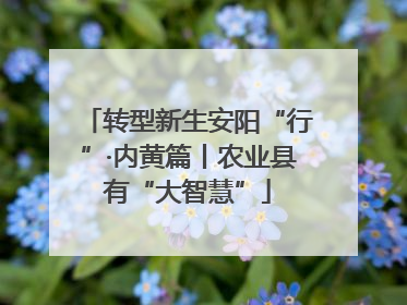 转型新生安阳“行”·内黄篇丨农业县有“大智慧”