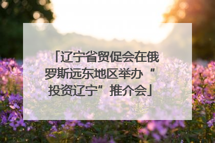 辽宁省贸促会在俄罗斯远东地区举办“投资辽宁”推介会