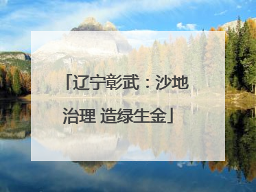 辽宁彰武：沙地治理 造绿生金