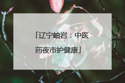 辽宁岫岩：中医药夜市护健康
