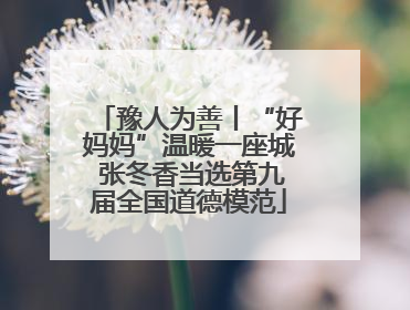 豫人为善丨“好妈妈”温暖一座城 张冬香当选第九届全国道德模范