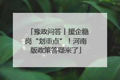 豫政问答丨援企稳岗“划重点”！河南版政策答疑来了
