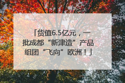 货值6.5亿元，一批成都“新津造”产品组团“飞向”欧洲！