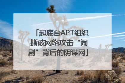起底台APT组织 撕破网络攻击“闹剧”背后的阴谋网