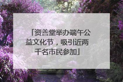 资善堂举办端午公益文化节，吸引近两千名市民参加