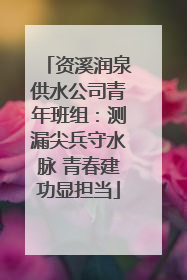 资溪润泉供水公司青年班组：测漏尖兵守水脉 青春建功显担当