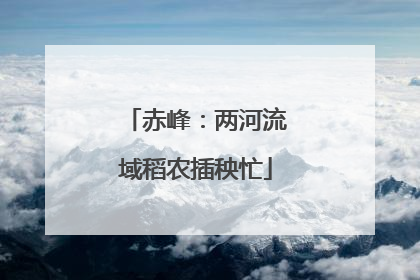赤峰：两河流域稻农插秧忙