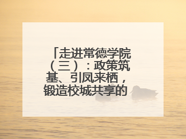 走进常德学院（三）：政策筑基、引凤来栖，锻造校城共享的“双师铁军”