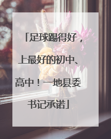 足球踢得好，上最好的初中、高中！一地县委书记承诺