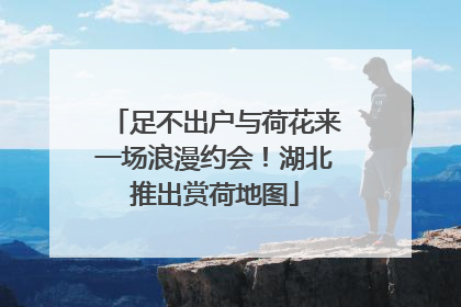 足不出户与荷花来一场浪漫约会！湖北推出赏荷地图