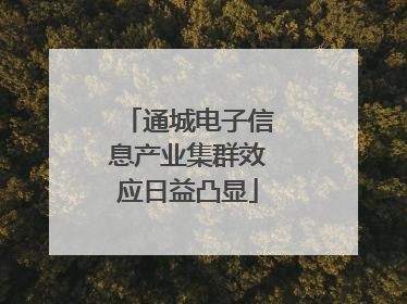 通城电子信息产业集群效应日益凸显