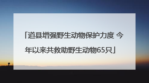 道县增强野生动物保护力度 今年以来共救助野生动物65只