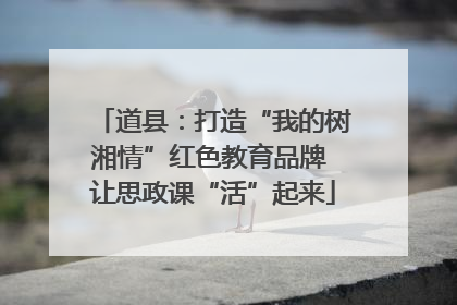 道县：打造“我的树湘情”红色教育品牌 让思政课“活”起来