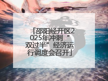 邵阳经开区2025年冲刺“双过半”经济运行调度会召开
