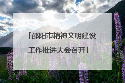 邵阳市精神文明建设工作推进大会召开