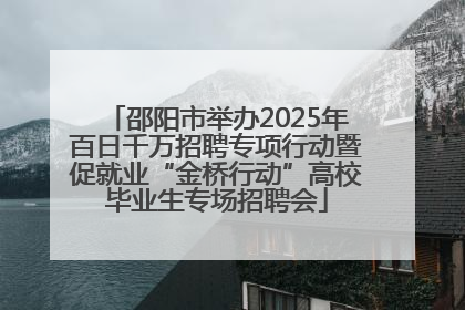 邵阳市举办2025年百日千万招聘专项行动暨促就业“金桥行动”高校毕业生专场招聘会