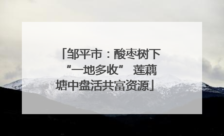 邹平市：酸枣树下“一地多收” 莲藕塘中盘活共富资源