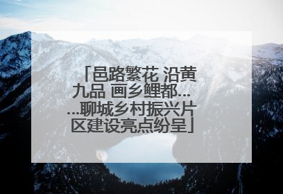 邑路繁花 沿黄九品 画乡鲤都……聊城乡村振兴片区建设亮点纷呈