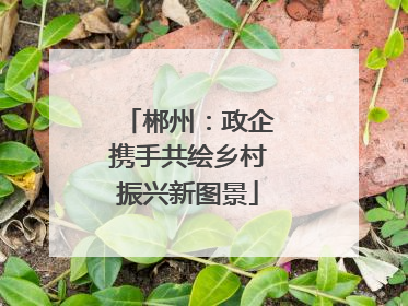 郴州：政企携手共绘乡村振兴新图景