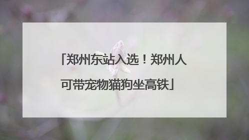 郑州东站入选！郑州人可带宠物猫狗坐高铁