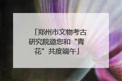 郑州市文物考古研究院邀您和“青花”共度端午