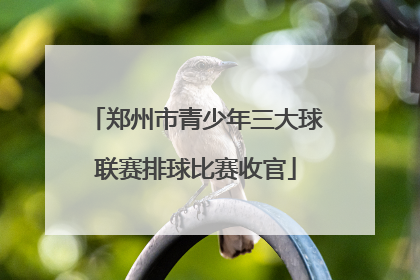 郑州市青少年三大球联赛排球比赛收官
