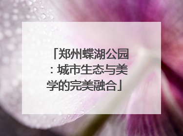 郑州蝶湖公园：城市生态与美学的完美融合