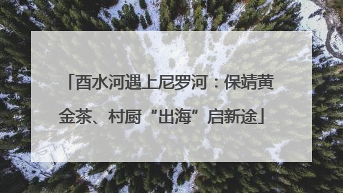 酉水河遇上尼罗河：保靖黄金茶、村厨“出海”启新途