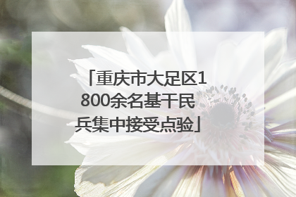 重庆市大足区1800余名基干民兵集中接受点验